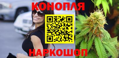 гашик Шахты