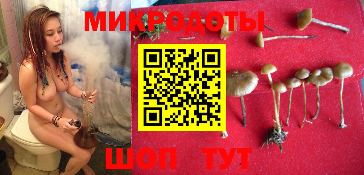 Галлюциногенные грибы прущие грибы  Галлюциногенные грибы MAGIC MUSHROOMS  Мичуринск  Вход с VPN 