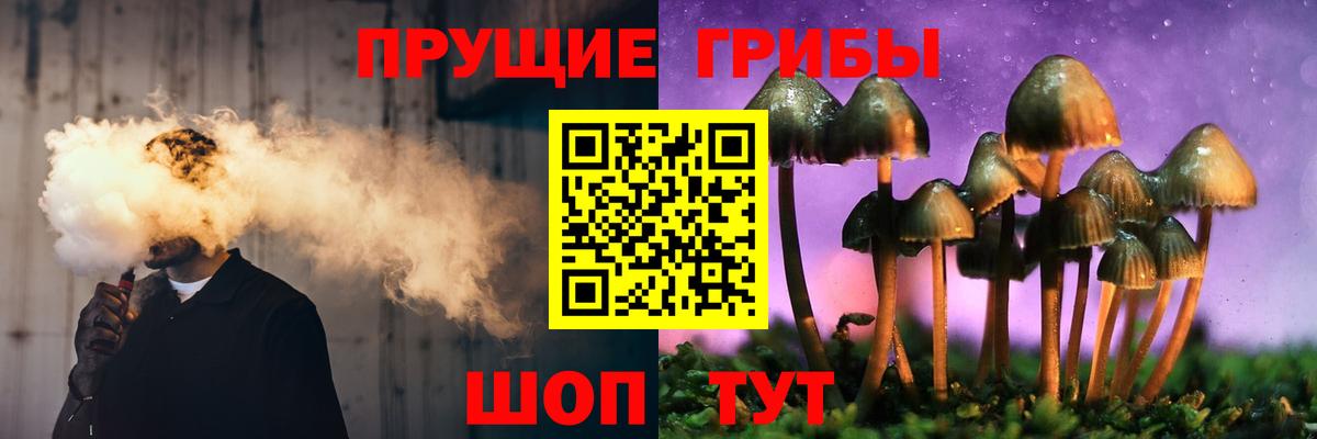 Псилоцибиновые грибы Psilocybine cubensis Мичуринск